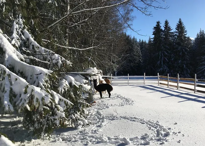 Ahorn Appartamento *